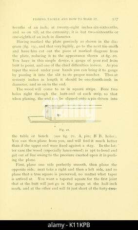 Poissons jeu américain (page 527, fig. 21) BHL8309803 Banque D'Images