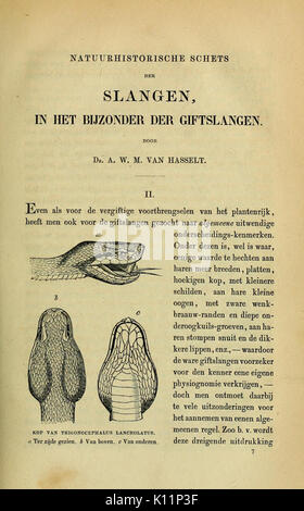 Album der Natuur (page 97) BHL16190712 Banque D'Images
