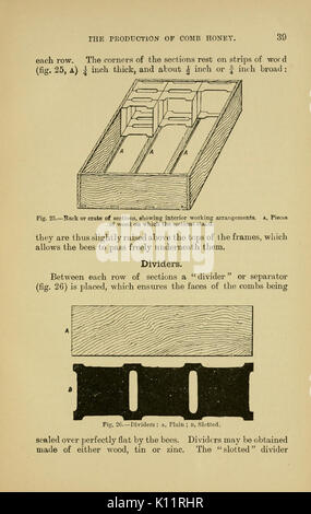 Les abeilles pour le plaisir et profit (page 39) BHL20458315 Banque D'Images