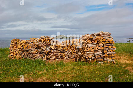 Pile de grumes, Terre-Neuve, Canada Banque D'Images