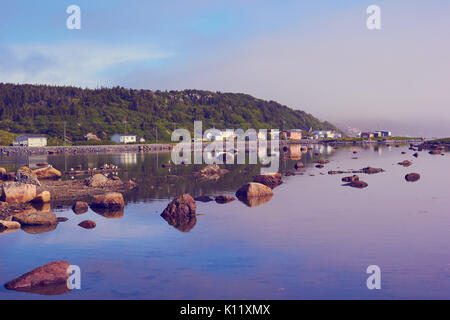 Matin brumeux sur la côte à St. Lunaire-Griquet à l'extrémité nord de la péninsule Great Northern, à Terre-Neuve, Canada Banque D'Images