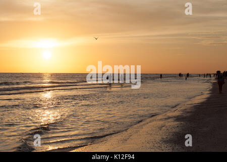 Coucher de soleil sur Anna Maria Island, Floride Banque D'Images