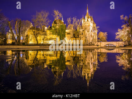 Budapest, Hongrie - Le superbe château Vajdahunyad avec reflet dans le parc de la ville de Budapest à l'heure bleue Banque D'Images