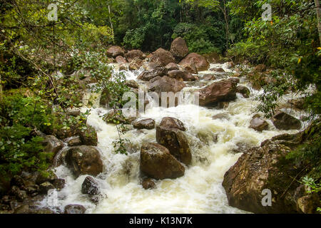 Rivière - Itatiaia Banque D'Images