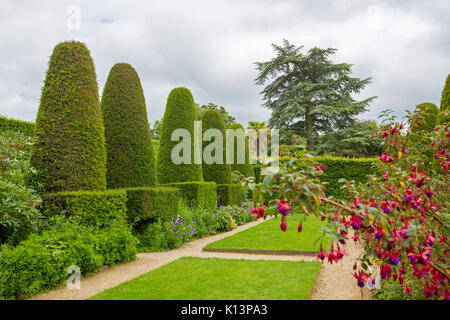 Jardin Anglais avec rangée de forme conique haute haies topiaires d'If à côté de pelouse vert émeraude et soigné pathways Banque D'Images