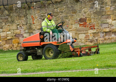 Homme portant des vêtements haute visibilité & protection auditive à l'aide de grandes tondeuses pour couper l'herbe de pelouse dans un parc public Banque D'Images