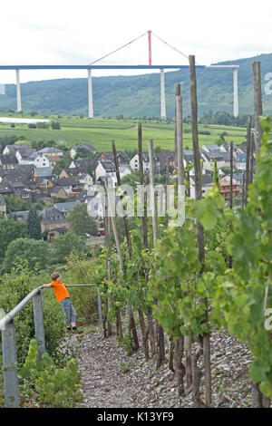 Garçon sur route de corde fixe, Uerzig, Moselle, Rhénanie-Palatinat, Allemagne Banque D'Images