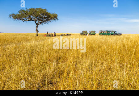 Voir l'air libre de petit-déjeuner sur une commande de jeu safari du matin dans le cadre d'un à sommet plat typique acacia dans les prairies de savane plaines de Masai Mara, Kenya Banque D'Images