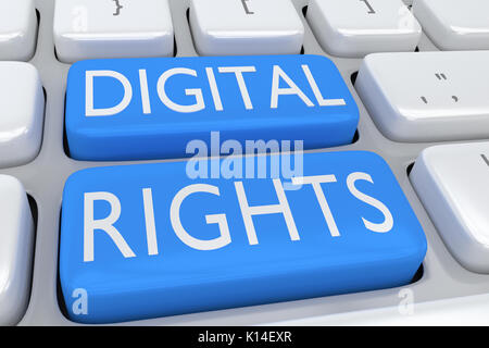 3D illustration de clavier de l'ordinateur avec le script "Digital Rights' sur deux boutons bleu pâle Banque D'Images