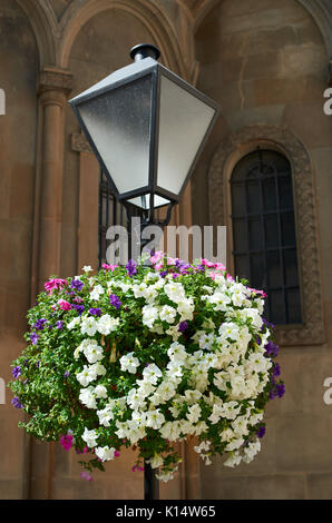 Lanterne de rue avec des fleurs, décoration vintage immeuble sur arrière-plan Banque D'Images