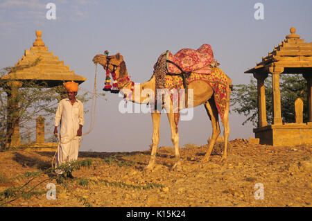 L'homme du Rajasthan avec Bada Bagh à chameau cénotaphes royaux, Jaisalmer, Rajasthan, India Banque D'Images