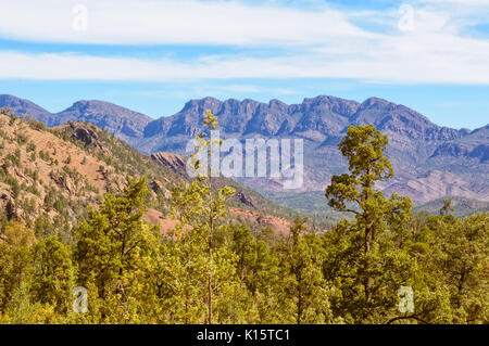 Avis de Heysen vont de la Gorge Road Bunyeroo dans Wilpena Pound - Flinders Ranges, SA, Australie Banque D'Images