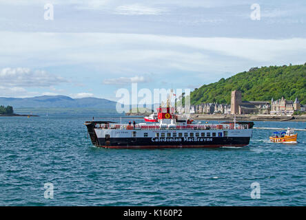 Grand noir et blanc et des véhicules de passagers, Caledonian MacBrayne, port d'Oban en Écosse, avec des bâtiments de la ville en arrière-plan Banque D'Images