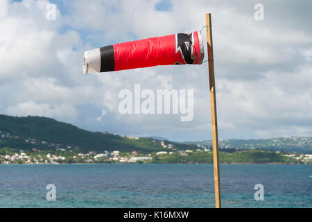 Manche dans le vent en face de landcape tropicale en Martinique, mer des Caraïbes Banque D'Images