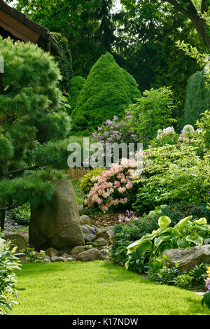 L'alberta nain epicéa (Picea glauca 'conica'), le lilas (Syringa), rhododendrons (rhododendron) et lis plantain (Hosta). design : Marianne et detlef Banque D'Images