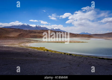 Laguna honda au sud lipez altiplano reserva Eduardo Avaroa, Bolivie Banque D'Images