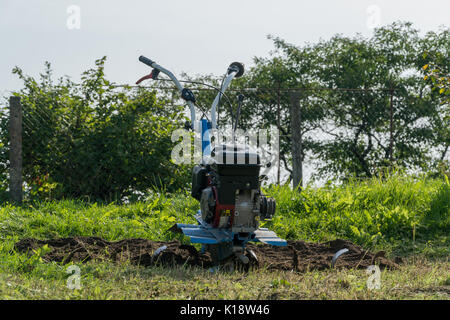 L'immersion de la terre dans le jardin avec un cultivateur. Banque D'Images