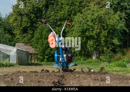 L'immersion de la terre dans le jardin avec un cultivateur. Banque D'Images