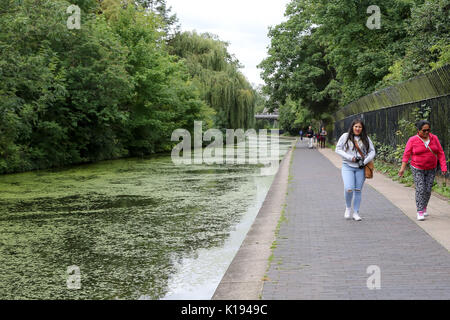 Regent's Canal. Londres, Royaume-Uni. Août 24, 2017. Météo britannique. Les gens le long de Regent's Canal couvert de lentilles d'un ciel couvert mais chaud après-midi. Credit : Dinendra Haria/Alamy Live News Banque D'Images