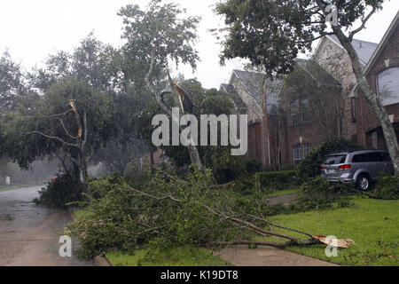 Houston, Texas, USA. 27 août, 2017. Photo prise le 26 août 2017 montre les arbres détruits par l'ouragan Harvey à Houston, aux États-Unis. Au moins une personne est morte et plusieurs autres ont été blessés après l'ouragan Harvey a touché terre sur la côte sud de l'État américain du Texas vendredi soir. Source : Xinhua/Alamy Live News Banque D'Images