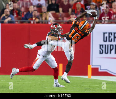 Tampa, Floride, USA. Août 26, 2017. Cleveland Browns receveur Corey Coleman (19) fait une prise au 1er semestre dans le jeu entre les Cleveland Browns et les Tampa Bay Buccaneers chez Raymond James Stadium de Tampa, Floride. Del Mecum/CSM Crédit : Cal Sport Media/Alamy Live News Banque D'Images