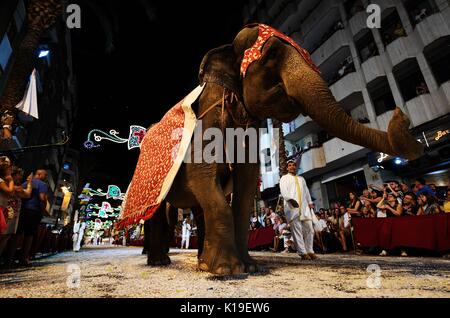 Ontinyent, Espagne. Août 25, 2017. Les éléphants prennent part à un défilé pendant la Maures et Chrétiens Festival à Ontinyent, Espagne, le 25 août 2017. Ontinyent détient ce festival chaque année en mémoire des guerres entre chrétiens et musulmans, qui est connu sous le nom de "reconquête". Credit : Guo Qiuda/Xinhua/Alamy Live News Banque D'Images