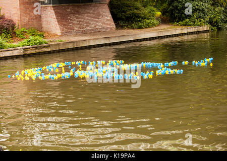 Course de canards festival eau newbury Banque D'Images