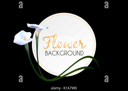 Abstract Floral Background avec Calla fleur. Vector Illustratio Illustration de Vecteur