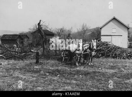 Un paysan sur un chariot tiré par deux chevaux blancs, en face de membres de l'arbre, près d'une ferme en bois et plusieurs autres plus petites constructions après une tempête et inondations ruiné sa ferme, près de Easton, Pennsylvanie, 1936. À partir de la Bibliothèque publique de New York. Banque D'Images
