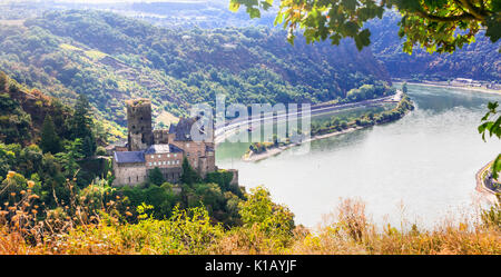 Voyage en Allemagne - célèbre Rhin croisières et magnifiques châteaux Banque D'Images