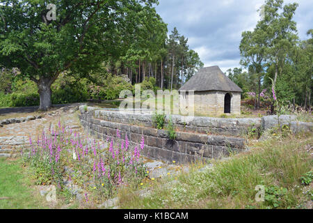 Cragside, Northumberland Banque D'Images