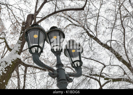 Paysage d'hiver avec de vieilles lampes de rue libre dans le parc. Banque D'Images