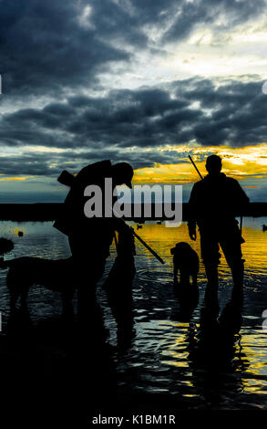 Silhouette de UK de gibiers ou de canard, tireurs et les chiens après une journée de tournage sur les marais dans le Lincolnshire Banque D'Images