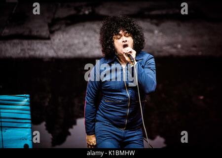 Biddinghuizen Pays-bas 20 août 2017, à l'unité dans En concert au festival Lowlands 2017 © Roberto Finizio/ Alamy Live News Banque D'Images