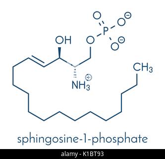 La Sphingosine-1-phosphate (S1P) molécule de signalisation. Formule topologique. Illustration de Vecteur