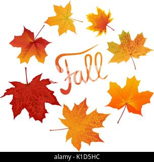 Lettrage et à l'automne l'automne feuilles d'érable de couleur Illustration de Vecteur