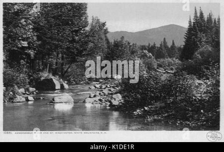 Une carte postale créée à partir d'une photographie teintée, montre une vue sur la rivière Ammonoosuc entourée de forêt, la montagne de Washington peut être vu en arrière-plan, White Mountains, New Hampshire, 1906. De la bibliothèque publique de New York. Banque D'Images