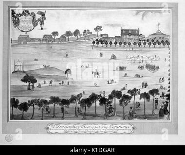 Une vision prospective d'une partie des Boston Commons, Boston, Massachusetts, 1902. De la bibliothèque publique de New York. Banque D'Images