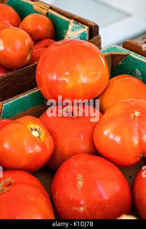 New Jersey, Cranbury. New Jersey rouge mûre Tomatores Beefsteak, affichées dans les boîtes de carton et mis en vente dans l'accotement Farmstand. Banque D'Images