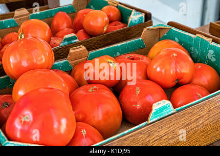 New Jersey, Cranbury. New Jersey rouge mûre Tomatores Beefsteak, affichées dans les boîtes de carton et mis en vente dans l'accotement Farmstand. Banque D'Images