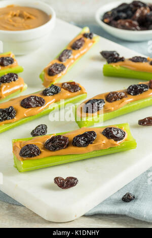 Des fourmis sur un journal Snack avec du beurre d'arachides et raisins Céleri Banque D'Images