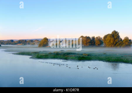 Le lever du soleil, à l'Altmühlsee Muhr am See, l'Altmühltal, Lake District de Franconie, Middle Franconia, Franconia, Bavaria, Germany Banque D'Images