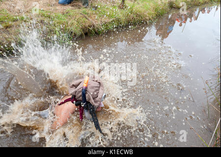 Llanwrtyd Wells, Powys, au Royaume-Uni. 27 août, 2017. La 32e conférence annuelle de la BOG Snorkelling Championships, conçu il y a plus de 30 ans dans un pub gallois par propriétaire Gordon Green, ont lieu à l'Waen Rhydd Bog. En utilisant soit des courses de natation, les participants nager deux longueurs d'un mètre 55 tranchée couper à travers une tourbière portant masque et des palmes de plongée. Credit : Graham M. Lawrence/Alamy Live News Banque D'Images