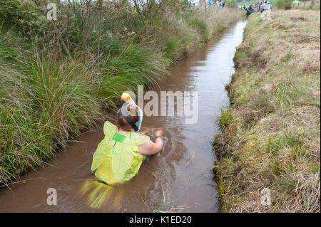 Llanwrtyd Wells, Powys, au Royaume-Uni. 27 août, 2017. La 32e conférence annuelle de la BOG Snorkelling Championships, conçu il y a plus de 30 ans dans un pub gallois par propriétaire Gordon Green, ont lieu à l'Waen Rhydd Bog. En utilisant soit des courses de natation, les participants nager deux longueurs d'un mètre 55 tranchée couper à travers une tourbière portant masque et des palmes de plongée. Credit : Graham M. Lawrence/Alamy Live News Banque D'Images