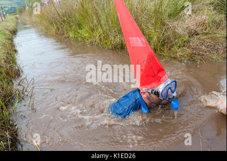 Llanwrtyd Wells, Powys, au Royaume-Uni. 27 août, 2017. La 32e conférence annuelle de la BOG Snorkelling Championships, conçu il y a plus de 30 ans dans un pub gallois par propriétaire Gordon Green, ont lieu à l'Waen Rhydd Bog. En utilisant soit des courses de natation, les participants nager deux longueurs d'un mètre 55 tranchée couper à travers une tourbière portant masque et des palmes de plongée. Credit : Graham M. Lawrence/Alamy Live News Banque D'Images