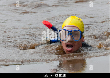 Llanwrtyd Wells, Powys, au Royaume-Uni. 27 août, 2017. La 32e conférence annuelle de la BOG Snorkelling Championships, conçu il y a plus de 30 ans dans un pub gallois par propriétaire Gordon Green, ont lieu à l'Waen Rhydd Bog. En utilisant soit des courses de natation, les participants nager deux longueurs d'un mètre 55 tranchée couper à travers une tourbière portant masque et des palmes de plongée. Credit : Graham M. Lawrence/Alamy Live News Banque D'Images