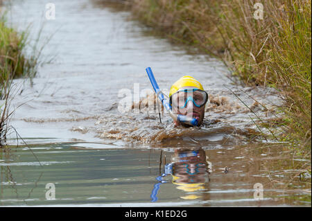 Llanwrtyd Wells, Powys, au Royaume-Uni. 27 août, 2017. La 32e conférence annuelle de la BOG Snorkelling Championships, conçu il y a plus de 30 ans dans un pub gallois par propriétaire Gordon Green, ont lieu à l'Waen Rhydd Bog. En utilisant soit des courses de natation, les participants nager deux longueurs d'un mètre 55 tranchée couper à travers une tourbière portant masque et des palmes de plongée. Credit : Graham M. Lawrence/Alamy Live News Banque D'Images