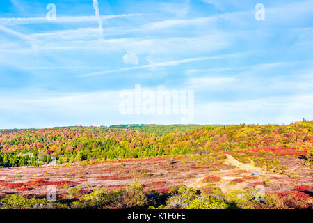 Le gel glacé sur rouge airelle myrtille chemin sentier bush illuminée par la lumière du soleil du matin à Dolly Sods, Virginie-Occidentale Banque D'Images