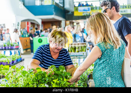 Montréal, Canada - le 28 mai 2017 Fleuriste : magasin avec beaucoup de fleurs colorées et d'une femme de vendre au marché des fermiers de Jean-Talon Banque D'Images