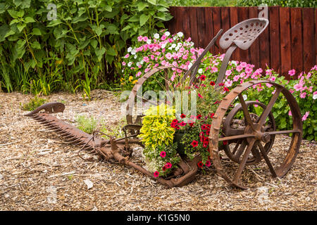 L'exposition de Patch Pioneer Parkside vieux instruments et les véhicules avec des fleurs à Winkler, au Manitoba, Canada. Banque D'Images